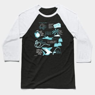 JAWS Revisited Baseball T-Shirt